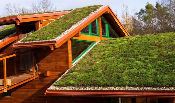Green Roofing 2 - Stadry Roofing & Restoration