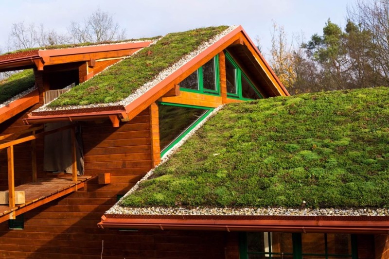 Green Roofing 2 - Stadry Roofing & Restoration